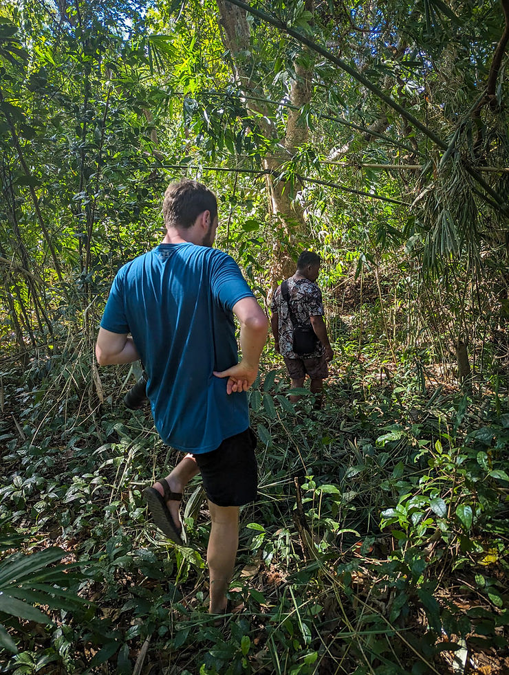 Birding, Coron