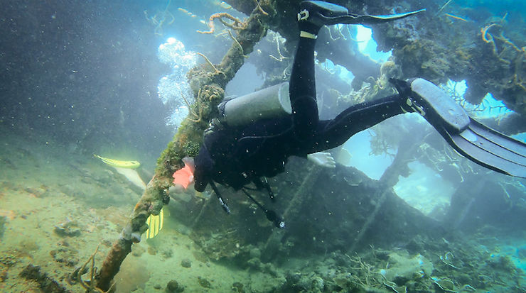 Coron diving