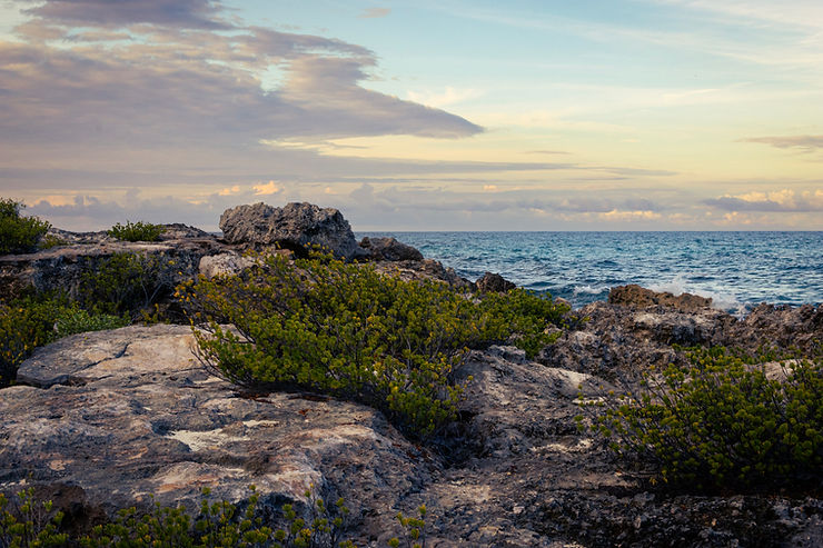 NW Isla Mujeres coast