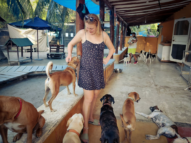 Dog rescue centre, Isla Holbox