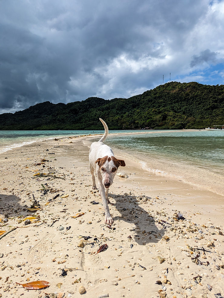 Snake Island, El Nido