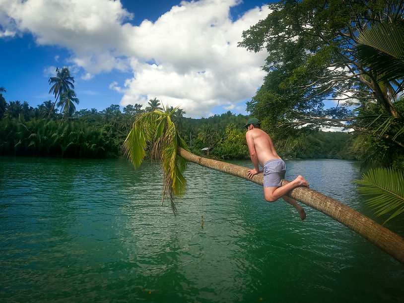 Palm tree fail, Loboc River