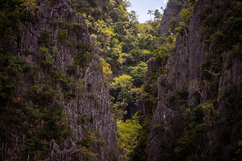 Palawan