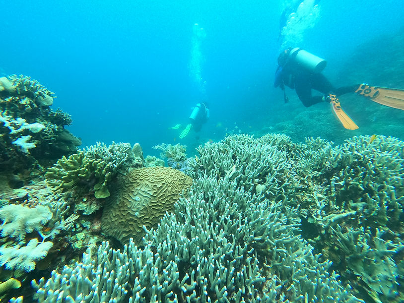 Scuba Diving, Siquijor