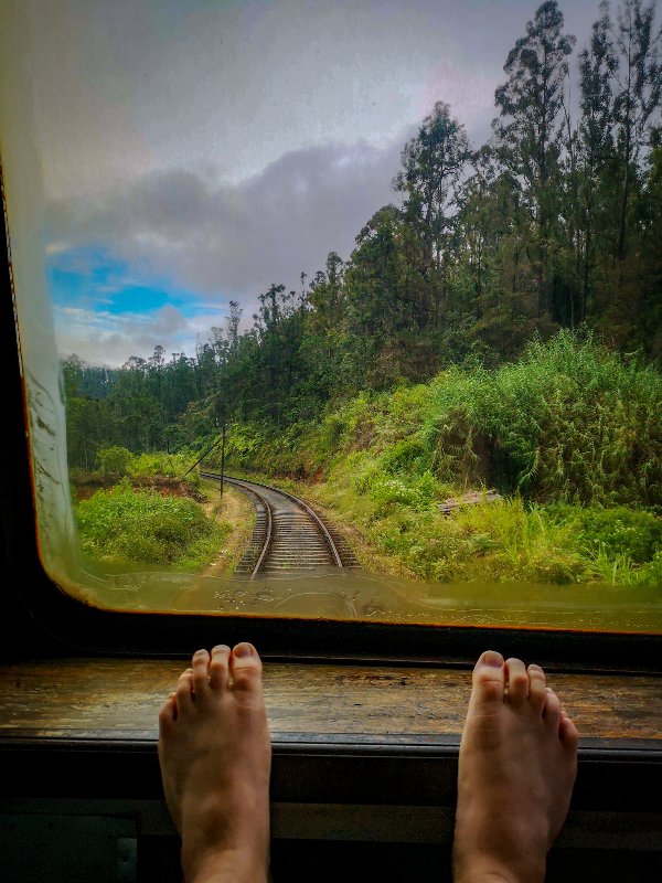 Train from Nuwara Eliya to Ella