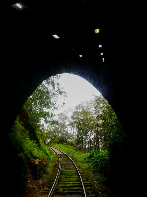 Train from Nuwara Eliya to Ella