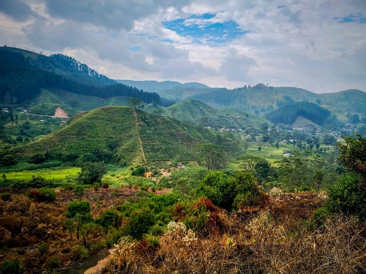 Nuwara Eliya