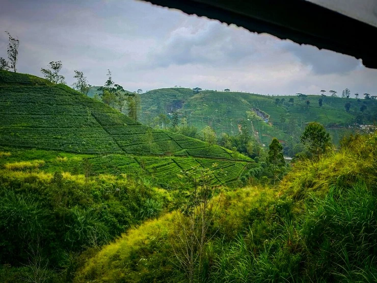 Nuwara Eliya