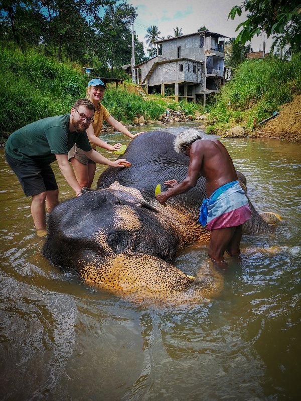 Elephant Freedom Project, near Kandy