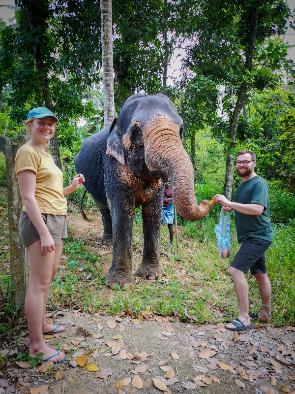 Elephant Freedom Project, near Kandy