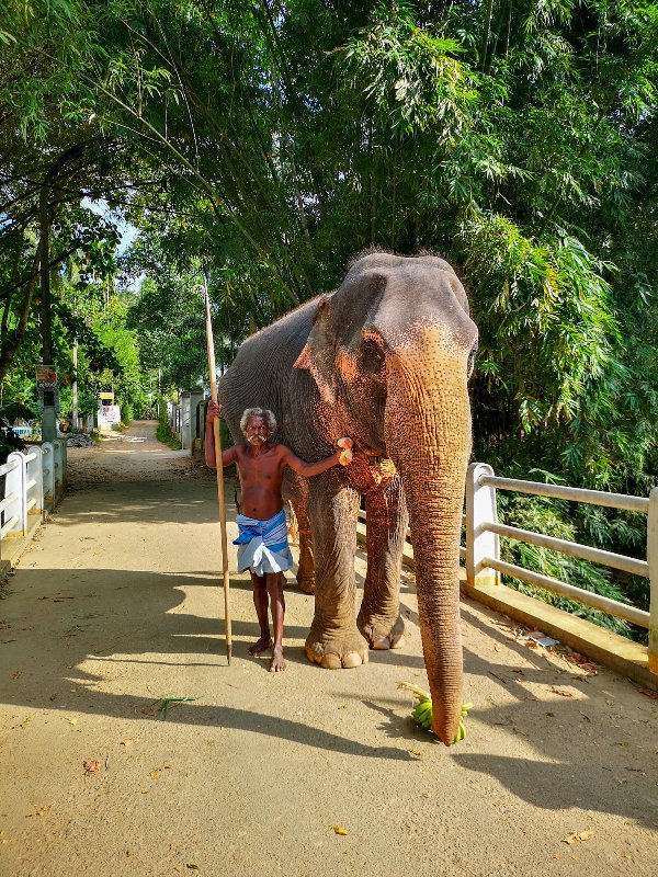 Elephant Freedom Project, near Kandy