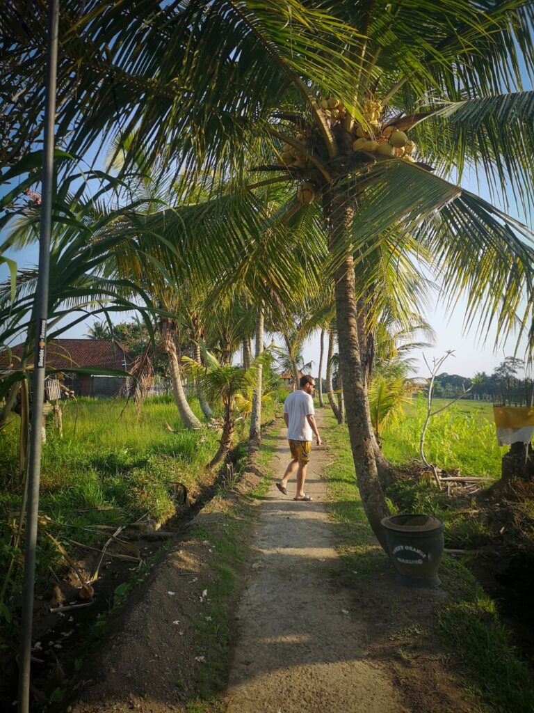 Kajeng Rice Fields walk, Ubud