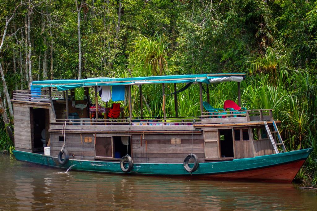 Klotok, Sekonyer River, Borneo