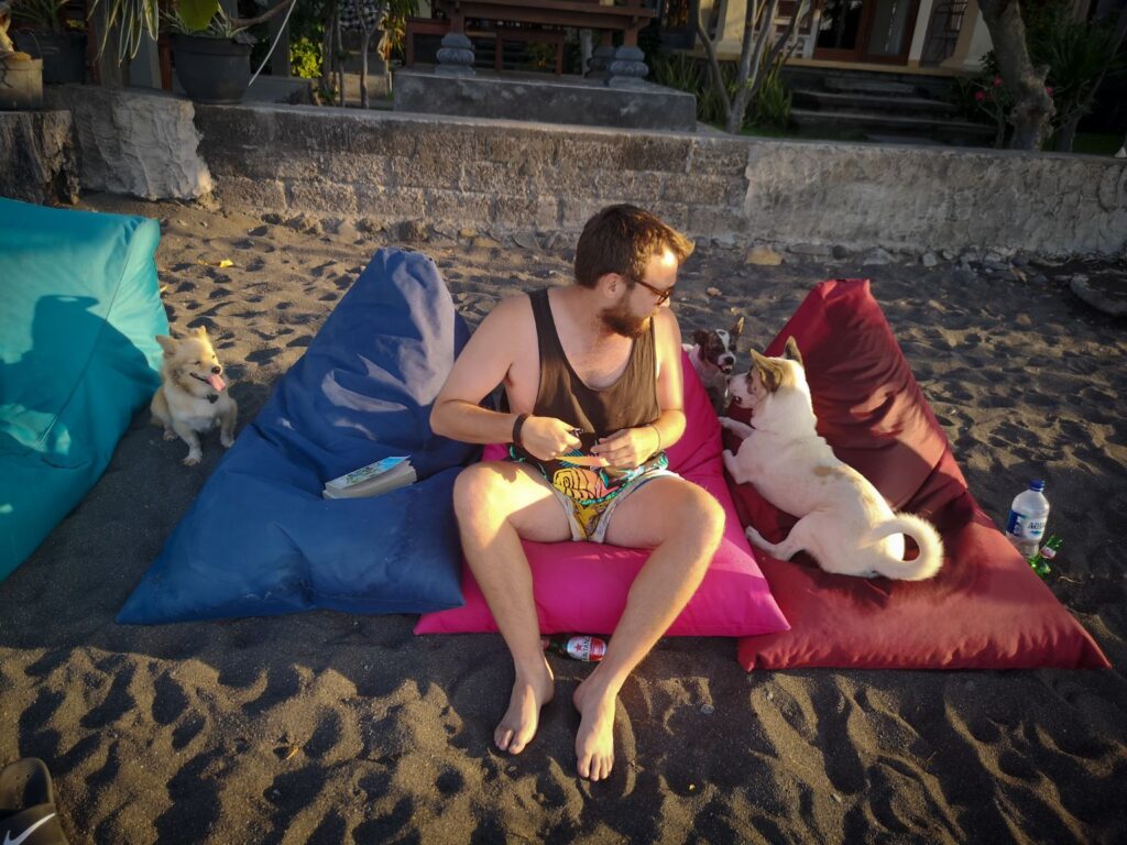 Dog gang, Amed beach