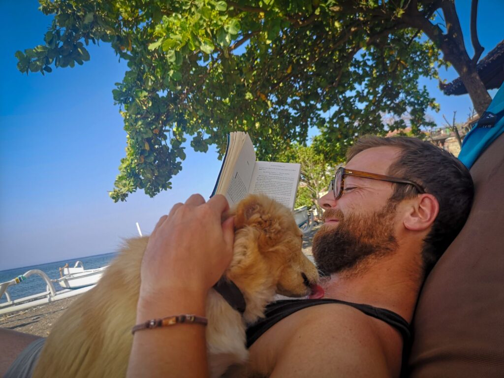 Dog gang, Amed beach