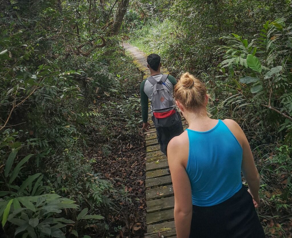 Re-forestation at Tanjung Puting National Park