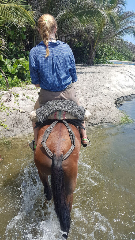 Horseriding in Tayrona