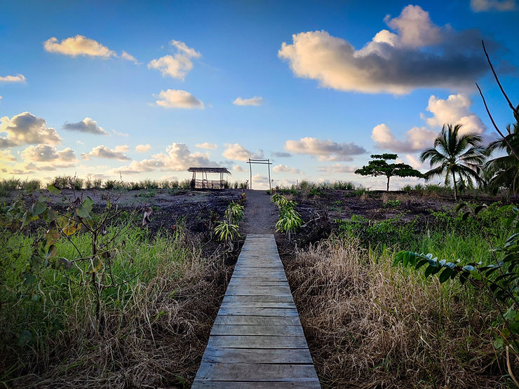 The bridge to the beach, Drake Bay