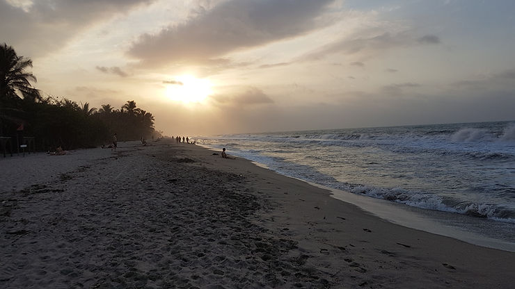 palomino beach